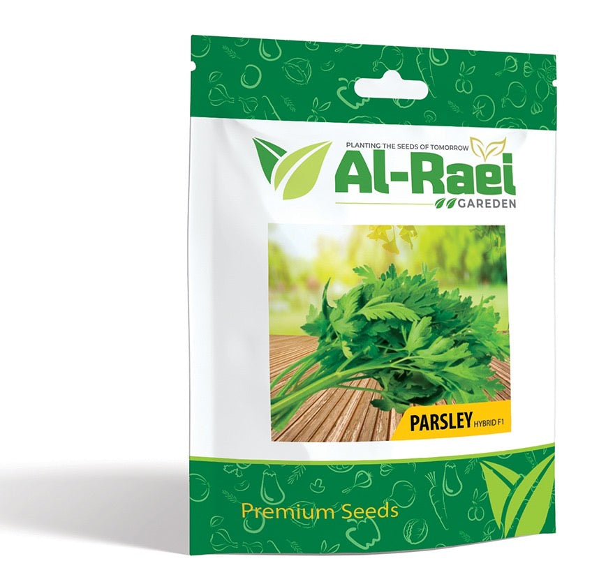 Parsley F1 Hybrid – Premium Quality Seeds