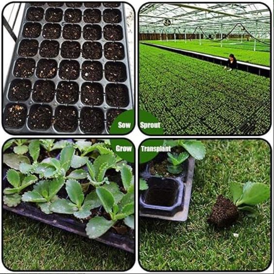 Al-Raei Seedling Tray 72 Holes