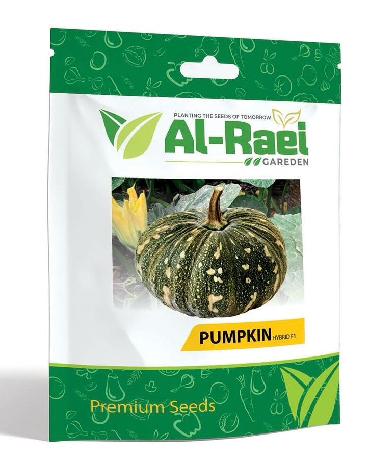 Pumpkin Hybrid F1 Premium Seeds