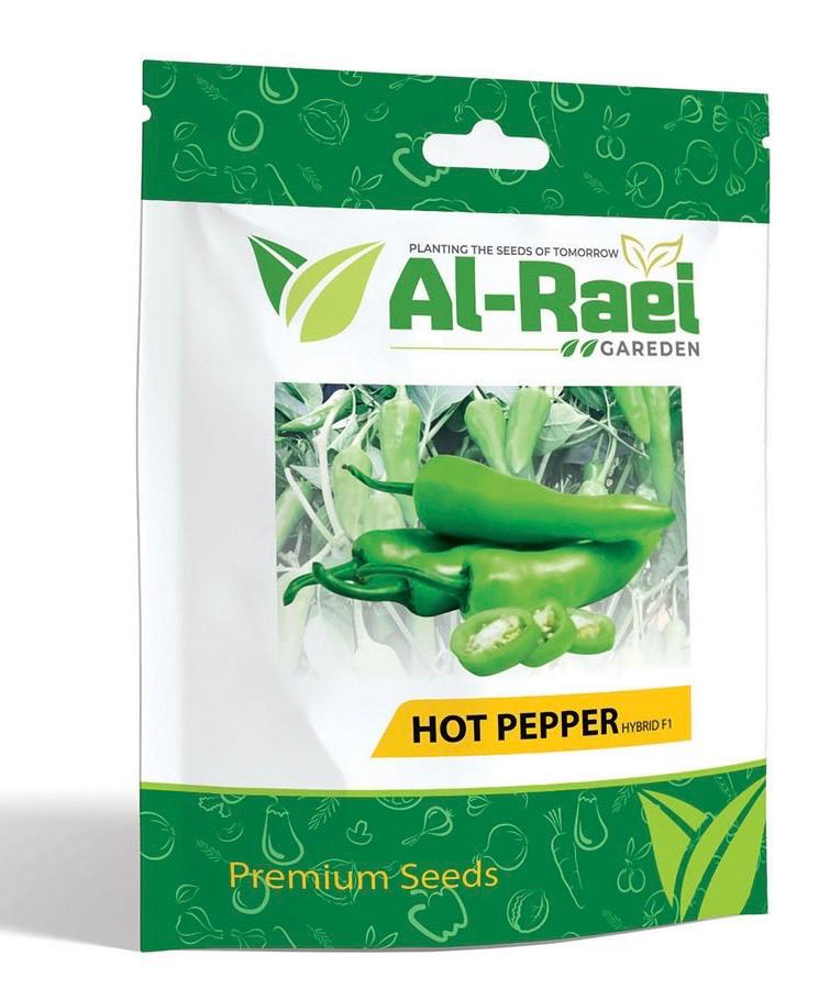 HOT PEPPER HYBRID F1 (Jalapeno Pepper Type) Premium Seeds