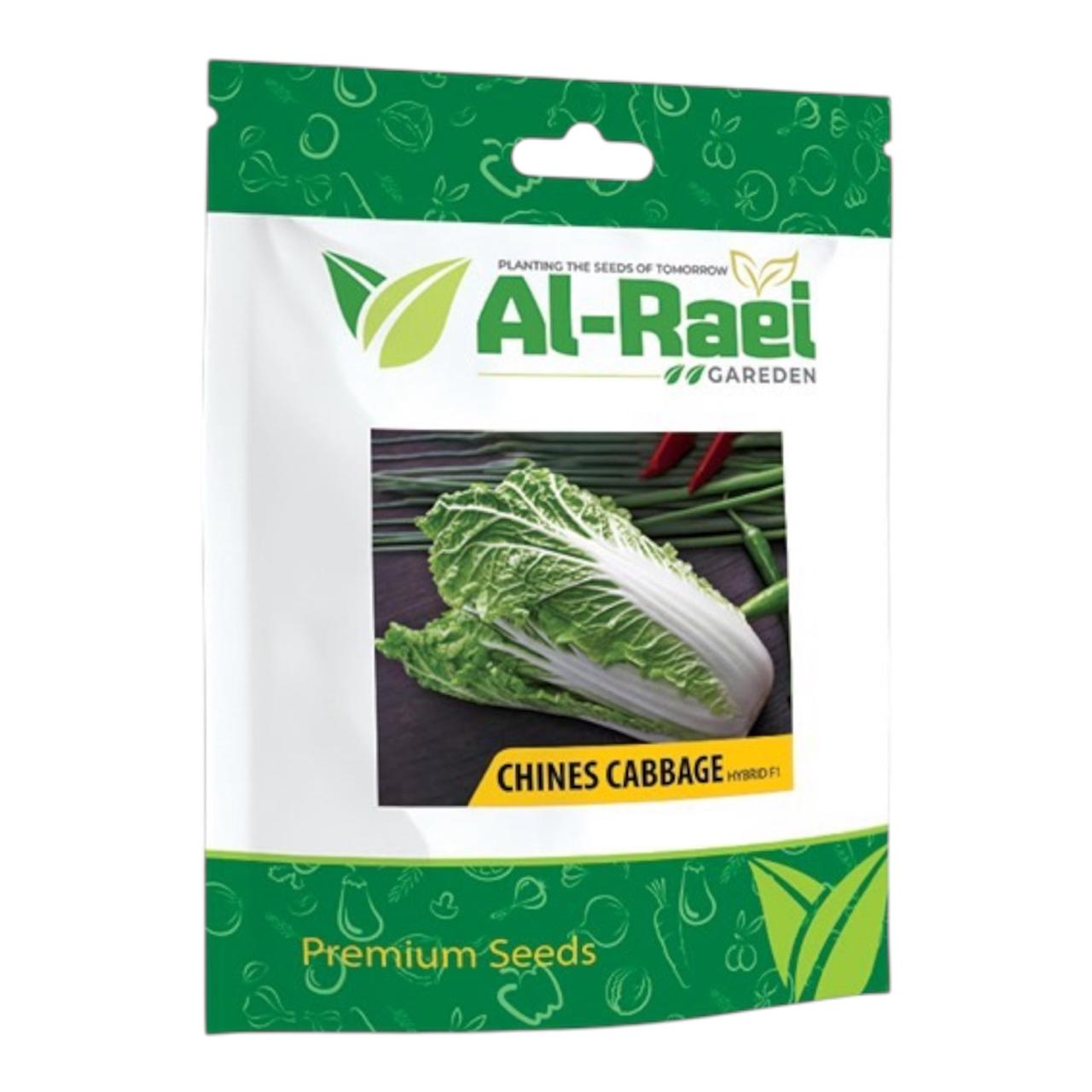 Al-Raei Chinese Cabbage Hybrid F1 Seeds | Premium Garden Seeds