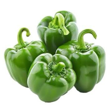 Sweet Pepper Green Hybrid F1 Seeds – Crisp, Vibrant & High-Yield