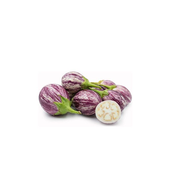 Purple Brinjal بینگن (جامنی) Hybrid F1 Premium Seeds