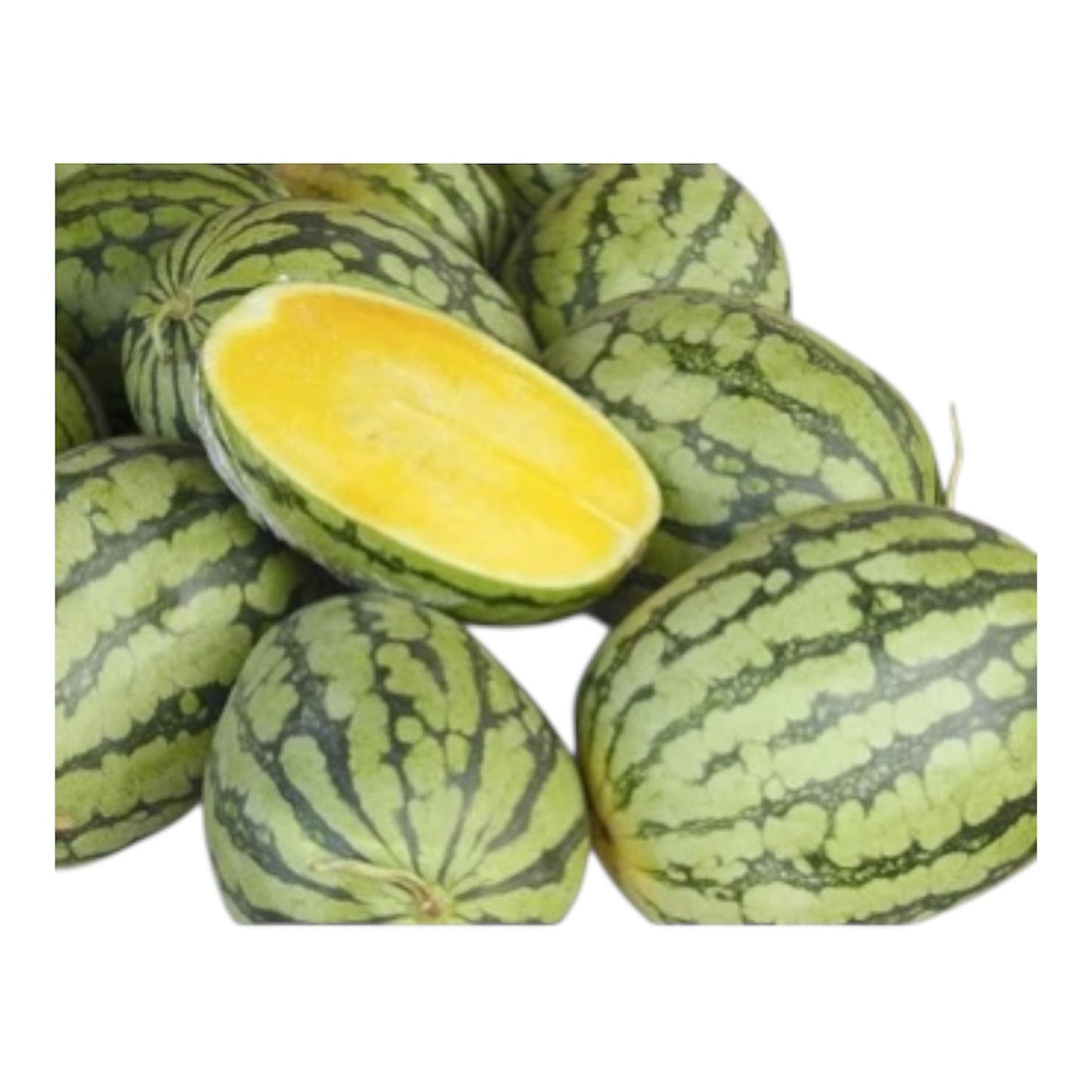 Al-Raei Yellow Watermelon (پیلا تربوز) Hybrid F1 Seeds