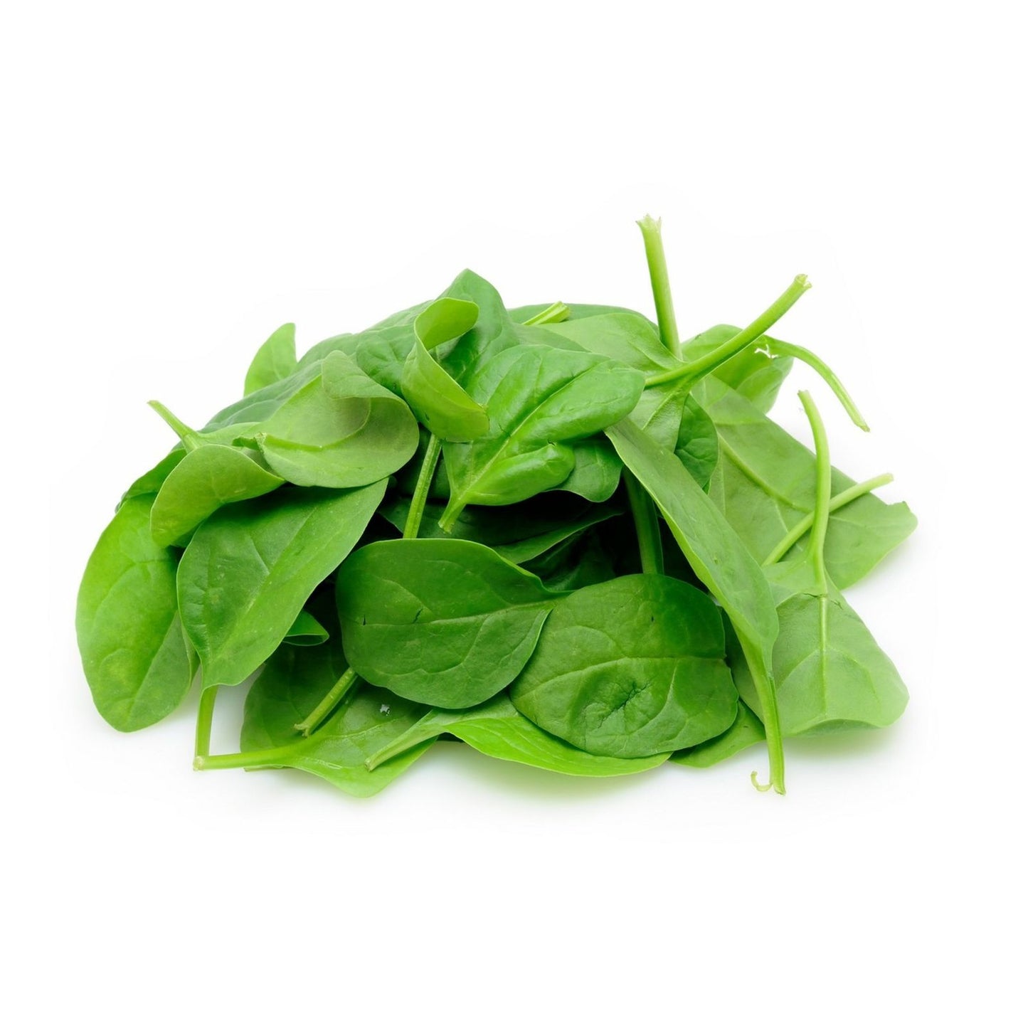Baby Spinach Seeds | Al-Raei Premium Vegetable Seeds