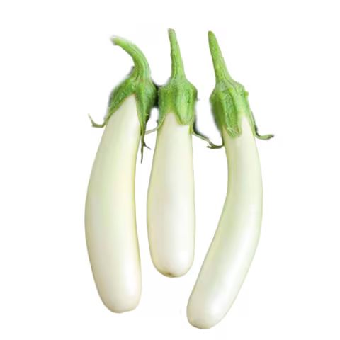 Brinjal White Long Hybrid F1 Seeds – High Yield | Premium Al-Raei Seeds
