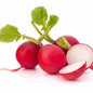 Red Radish F1 Hybrid Seeds – High-Yield, Fast-Growing & Superior Quality