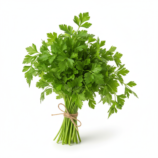 Parsley F1 Hybrid – Premium Quality Seeds