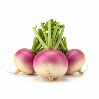 Turnip Seeds - Premium Quality for a Flavorful Harvest