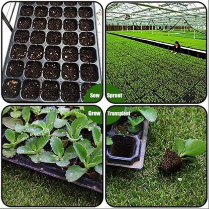 Al-Raei Seedling Tray 72 Holes