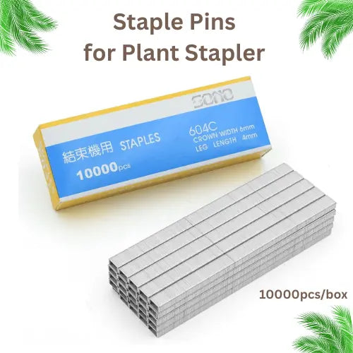 Staple Pins for Plant Staplers (10,000pcs/box)