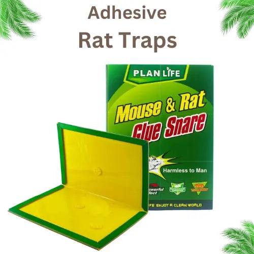 Adhesive Rat Traps (5 PCS)