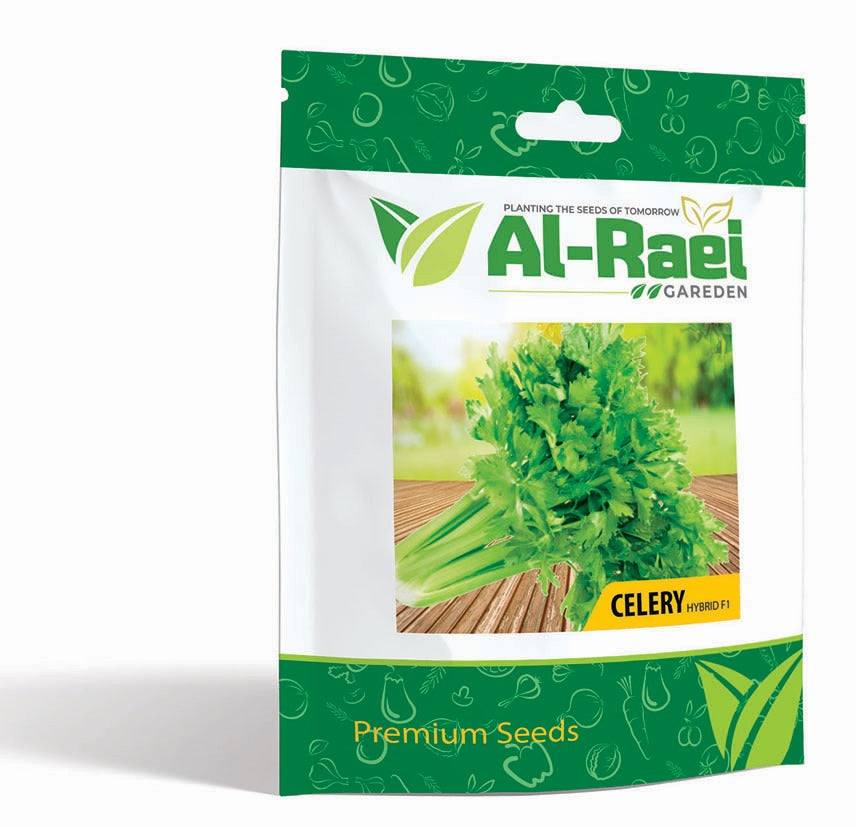 Celery Hybrid F1 Seeds – Premium Quality