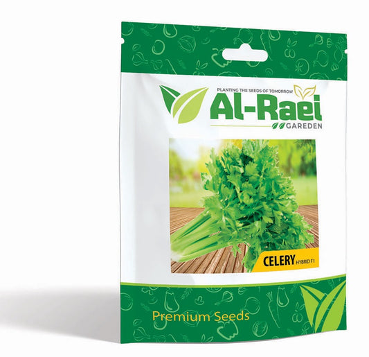 Celery Hybrid F1 Seeds – Premium Quality