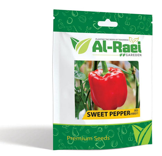 sweet Pepper Red Hybrid F1 Seeds – High-Quality, Sweet Flavor