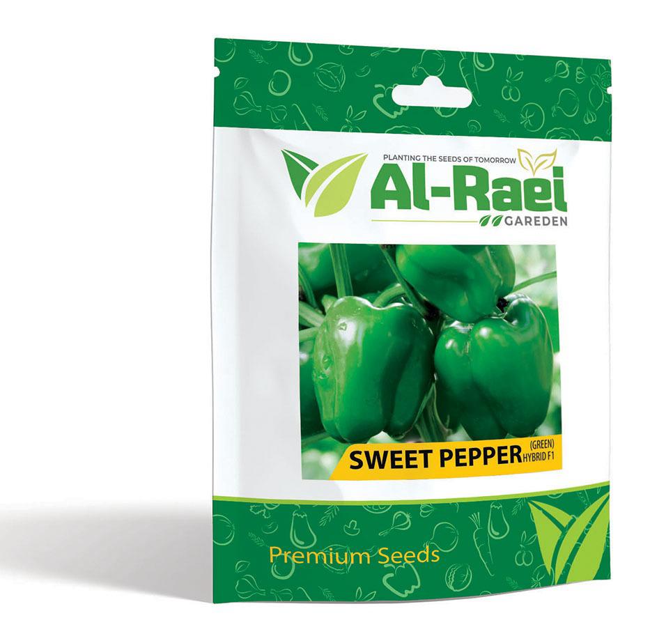 Sweet Pepper Green Hybrid F1 Seeds – Crisp, Vibrant & High-Yield