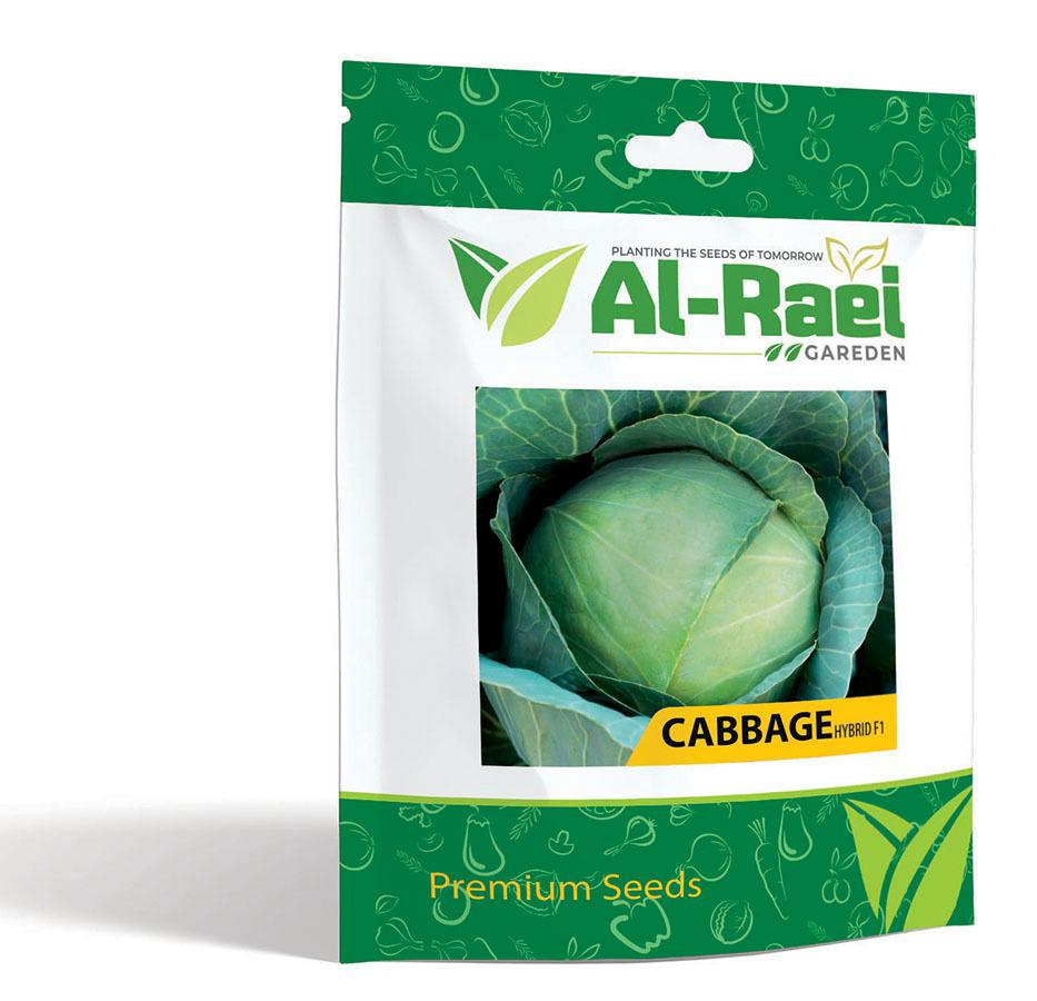 Cabbage Hybrid F1 Seeds – Compact, Crisp & High-Yielding