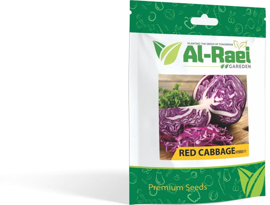 Red Cabbage Seeds – Premium Variety for Fresh Salads & High-Yield Farming