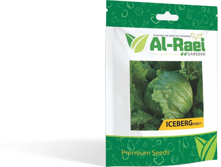 Iceberg Lettuce Seeds
