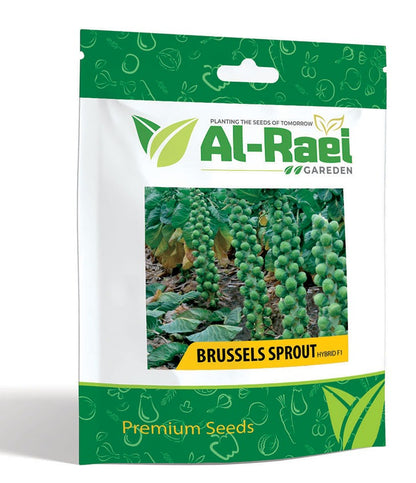Brussels Sprout F1 Hybrid Seeds – High Yield, Uniform & Disease-Resistant
