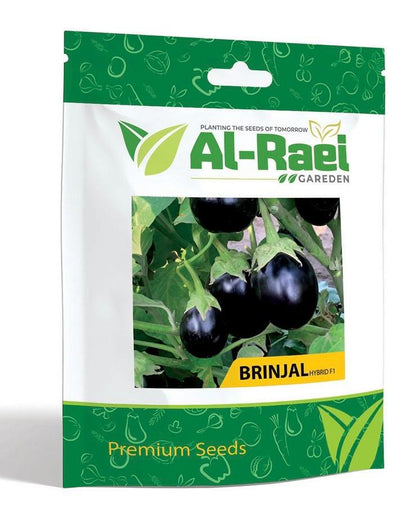 Brinjal (Round SHAPED) Hybrid F1 Premium Seeds