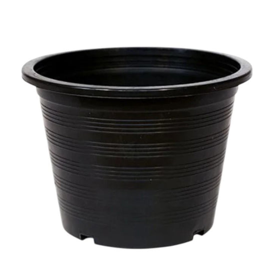 Plastic Pot 9-inch, Black