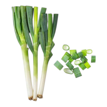 Bunching Onion گٹھے دار پیاز Hybrid F1 Premium Seeds