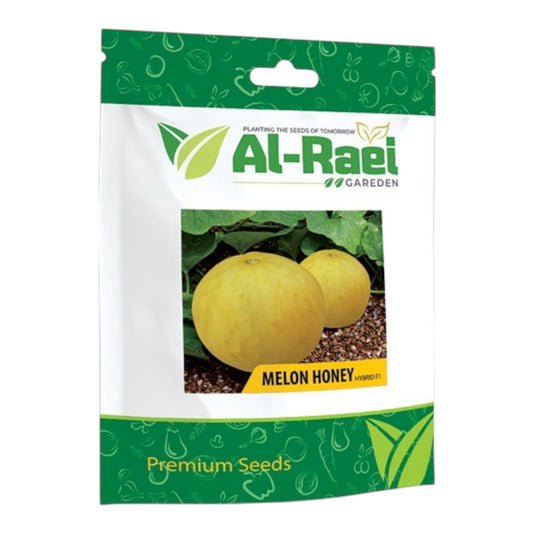 Melon Honey (خربوزہ) Hybrid F1 – Al-Raei Seeds