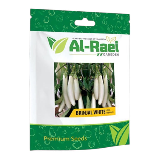 Brinjal White Long Hybrid F1 Seeds – High Yield | Premium Al-Raei Seeds