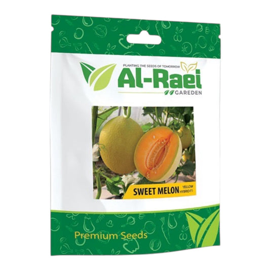 Sweet Melon Yellow Hybrid F1 Seeds – High Yield | Al-Raei Premium Melon Seeds