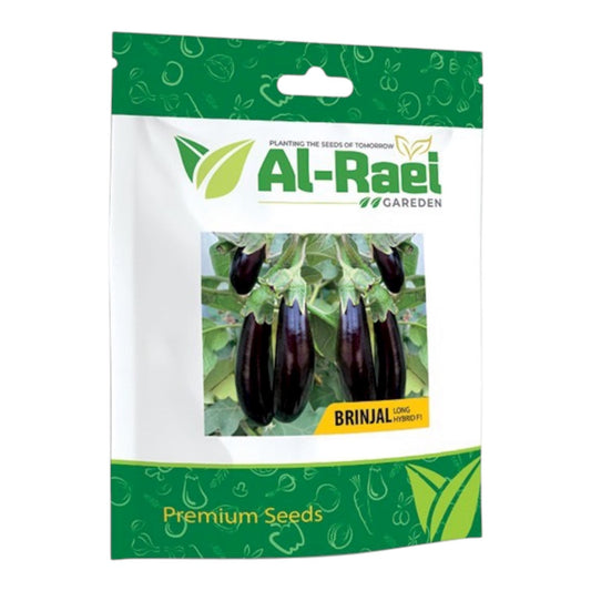 Al-Raei Black Long Brinjal Seeds | Hybrid F1 Eggplant Seeds