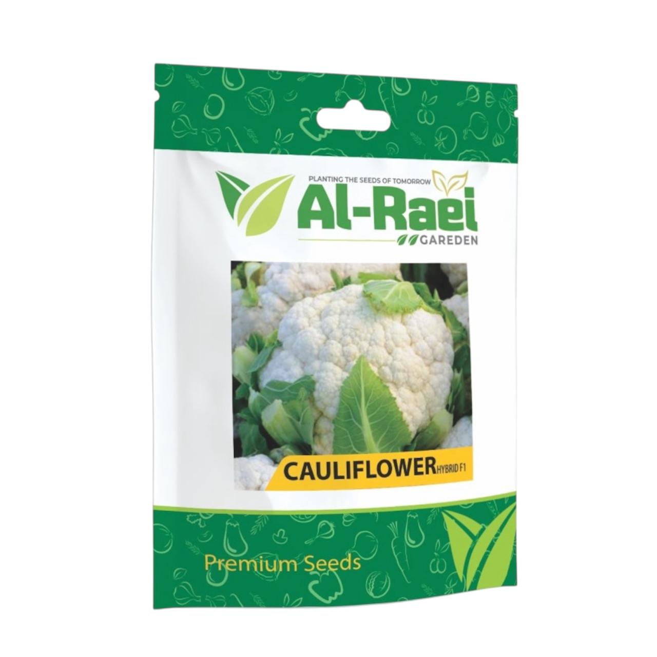 Al-Raei Cauliflower Hybrid F1 Seeds | High-Yield Gobi Seeds