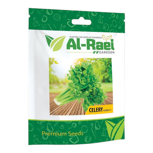 Al-Raei Celery Hybrid F1 Seeds | Premium Vegetable Seeds
