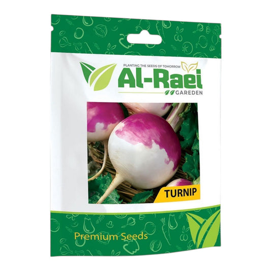 Al-Raei Turnip (Shalgam) Purple Top Seeds | Premium Winter Seeds