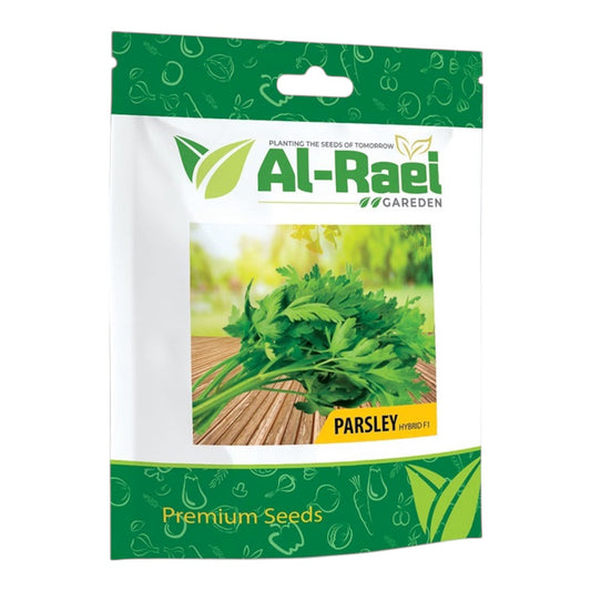 Al-Raei Parsley Hybrid F1 Seeds | Premium Herb Seeds