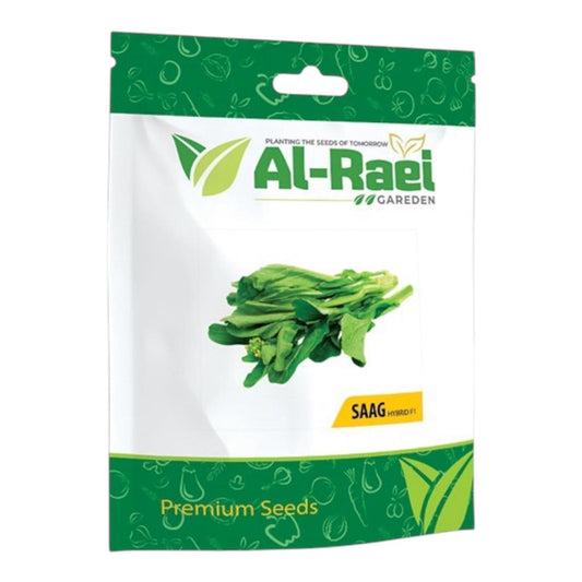 Al-Raei Saag Hybrid F1 Seeds | Premium Mustard Greens