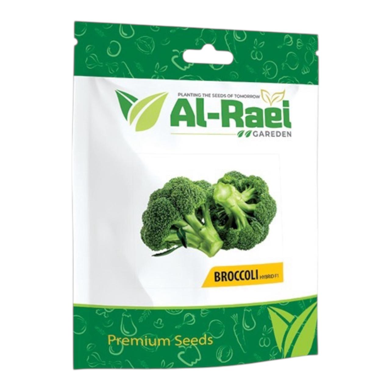Al-Raei Broccoli Hybrid F1 Seeds | High-Yield Garden Seeds