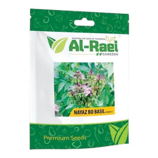 Al-Raei Nayaz Bo Basil Hybrid F1 Seeds | Premium Niazbo Seeds