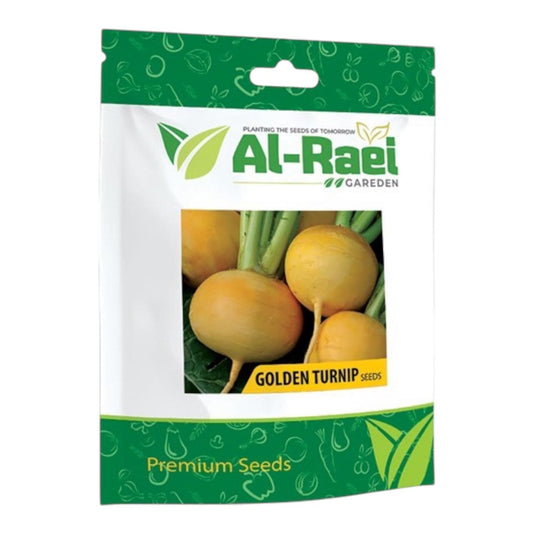 Al-Raei Golden Turnip Seeds | Premium Yellow Shalgam Seeds