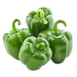 Sweet Pepper Green Hybrid F1 Seeds – Crisp, Vibrant & High-Yield