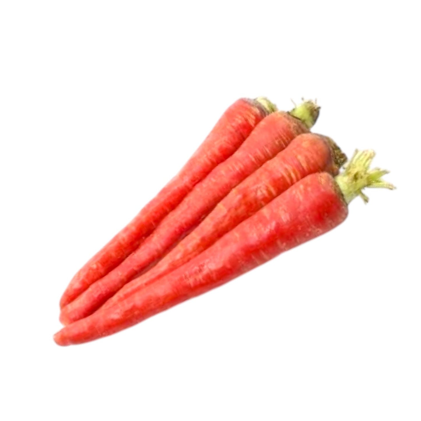 Carrot Seeds - Premium Quality for a Bountiful Harvest