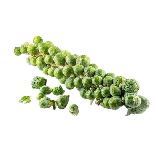 Brussels Sprout F1 Hybrid Seeds – High Yield, Uniform & Disease-Resistant