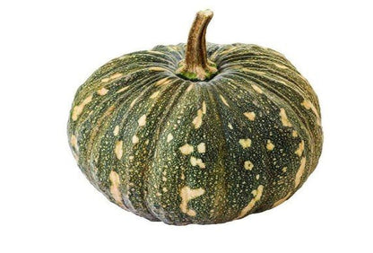 Pumpkin Hybrid F1 Premium Seeds