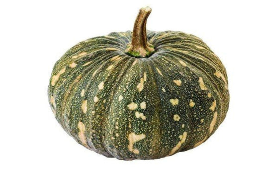 Pumpkin Hybrid F1 Premium Seeds
