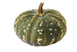 Pumpkin Hybrid F1 Premium Seeds