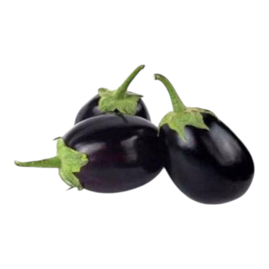 Brinjal (Round SHAPED) Hybrid F1 Premium Seeds