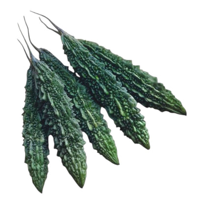 Bitter Gourd Premium Hybrid F1 Seeds