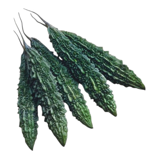 Bitter Gourd Premium Hybrid F1 Seeds