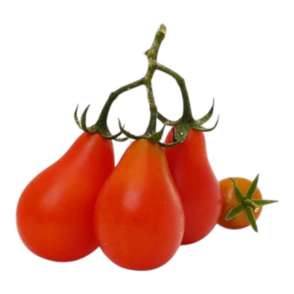 Bell Shaped Red Tomato Seeds – Premium Quality for Juicy, Flavorful Harvests