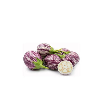 Purple Brinjal بینگن (جامنی) Hybrid F1 Premium Seeds